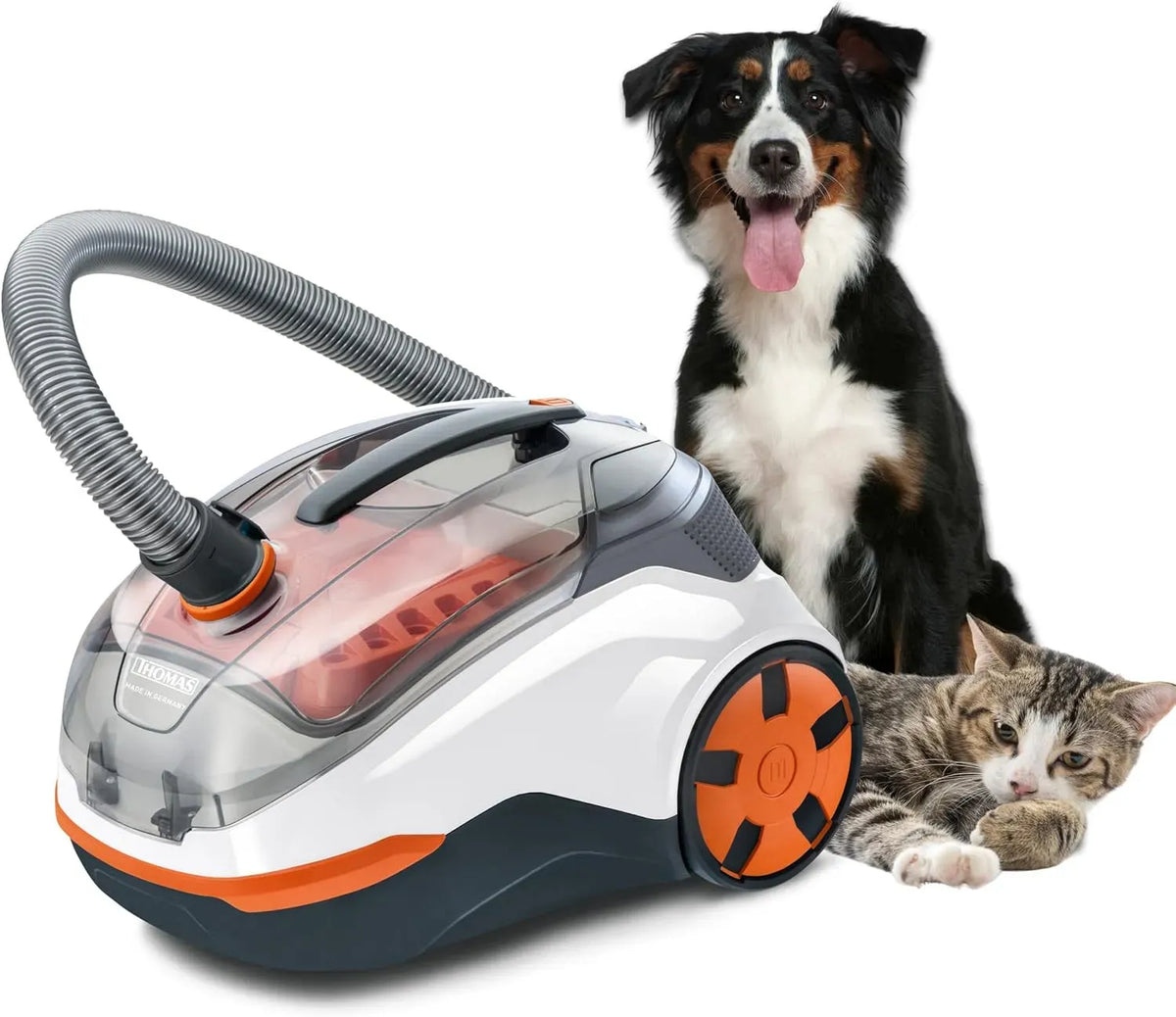 Aspirateur, THOMAS CYCLOON, appareil électrique d'aspiration, Hybrid Pet & Friends